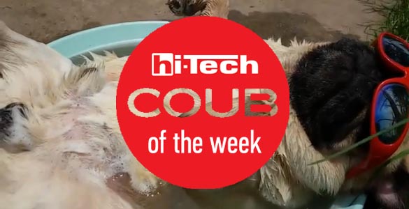 coub of the week ht ua 2 08