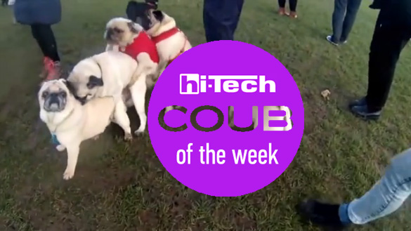 coub of the week 10-10-2015