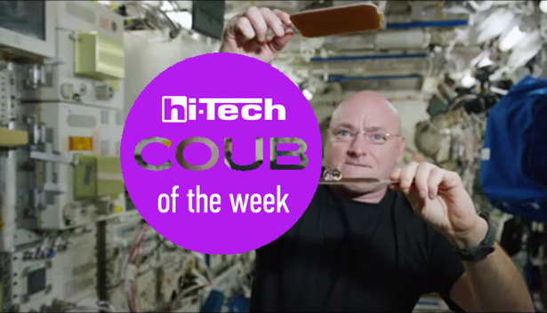best coubs of the week htua 30-01-2016