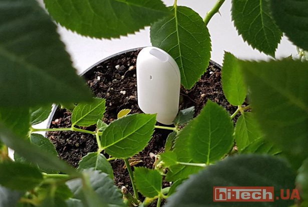 xiaomi-smart-flower-and-plant-monitor-06