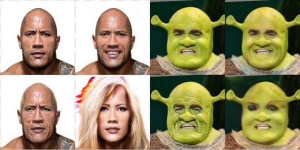 the_rock_and_shrek