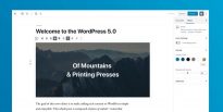 CMS WordPress 5.0