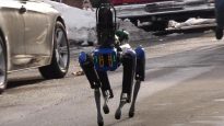 Boston Dynamics police